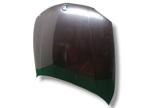 Hood BMW 1 (E87) 118 d | BP29812828C1 
