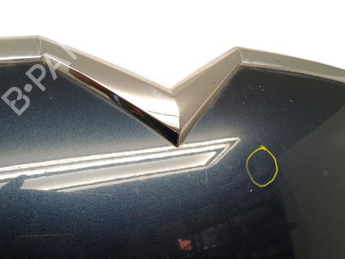 Hood CITROËN C5 III (RD_) 2.7 HDi (RDUHZJ) | BP30197050C1 