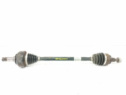 BP12428419M41 main image