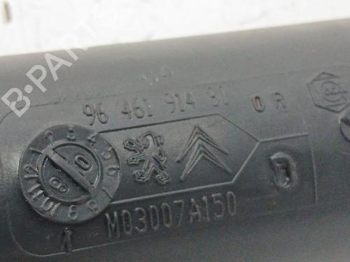 Pipe CITROËN C5 III (RD_) 2.7 HDi (RDUHZJ) | BP29708077M125