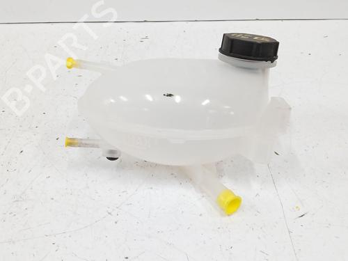Expansion tank FORD TRANSIT COURIER B460 Box Body/MPV 1.5 EcoBlue | BP30287636C120