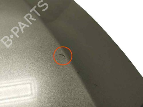 Hood NISSAN JUKE (F16_) 1.0 | BP22613615C1 