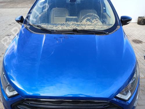 Used Hood FORD ECOSPORT 1.0 EcoBoost (125 hp) 31706472