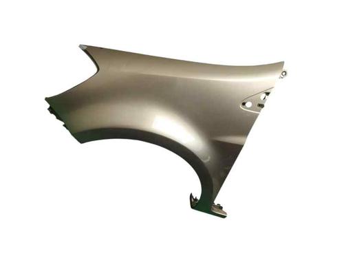 Left front fenders RENAULT CLIO III (BR0/1, CR0/1) 1.2 16V (BR02, BR0J, BR11, CR02, CR0J, CR11) | BP25735817C41 