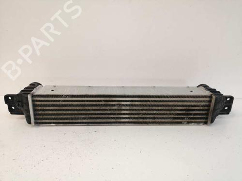 Intercooler CHEVROLET CAPTIVA (C100, C140) 2.0 D | BP7982338M30 