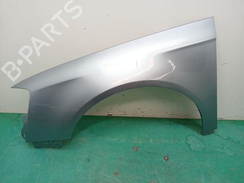 Used Left front fenders VW PASSAT B6 (3C2) 2.0 TDI (140 hp) 29850397
