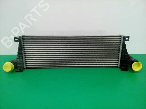 Intercooler SANTANA PS10/ANIBAL [2002-2025]  12425964