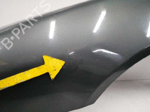 Left front fenders PEUGEOT 607 (9D, 9U)  | BP8918475C41 