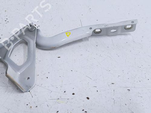 Hinge/Door check strap RENAULT CLIO V (B7_) 1.5 Blue dCi 100 (B7AD) | BP40531689C146 - Image 2