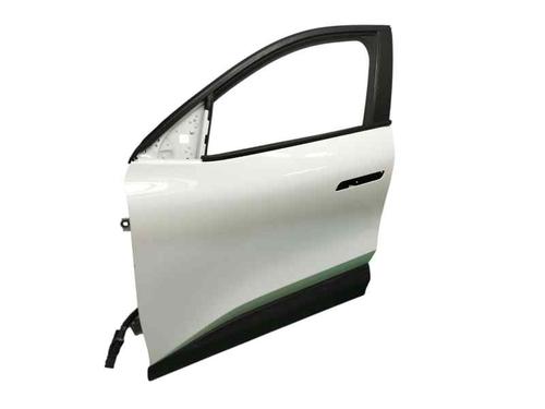 Left front door RENAULT MEGANE E-TECH SUV EV60 (BNJ1) | BP26567303C2 