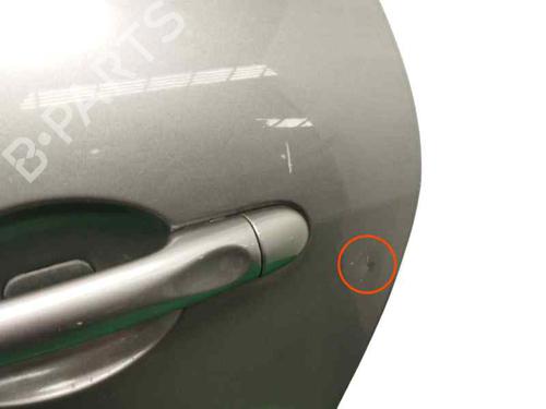 Left rear door RENAULT SCÉNIC III (JZ0/1_)  | BP22629923C4 