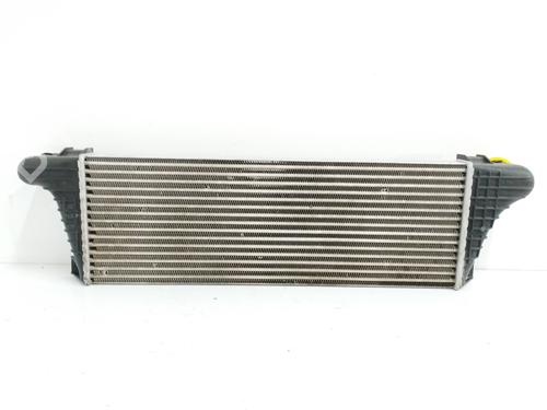 Intercooler SANTANA PS10/ANIBAL | BP12442030M30