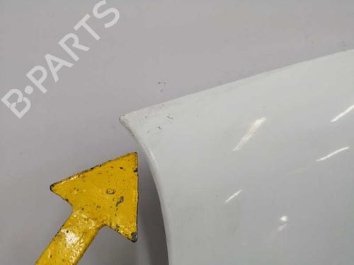 Left front fenders NISSAN INTERSTAR Van (X70)  | BP8922010C41 