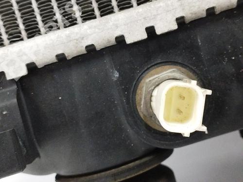 Water radiator FORD MONDEO IV (BA7) 1.8 TDCi | BP11931779M31 