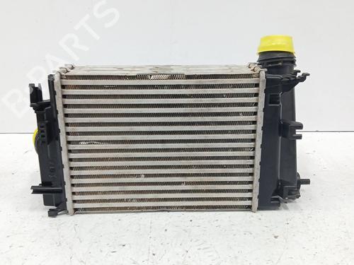 Intercooler NISSAN QASHQAI III (J12) 1.3 DIG-T | BP29827184M30