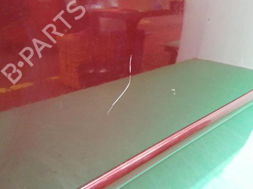 Left front door HYUNDAI SONATA V (NF)  | BP10917236C2