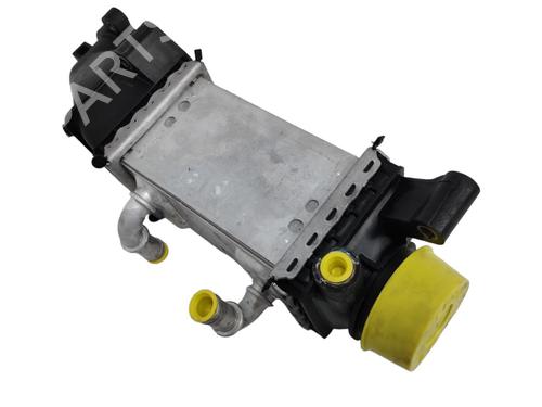 Intercooler SEAT IBIZA IV ST (6J8, 6P8)  | BP16955258M30 