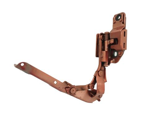 Hinge/Door check strap INFINITI Q50  | BP17537334C146 