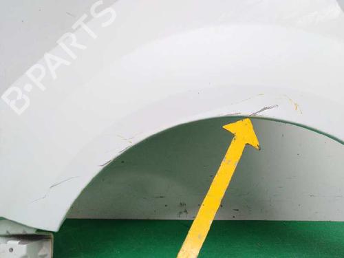Left front fenders MERCEDES-BENZ S-CLASS (W221, V221) S 420 CDI (221.028, 221.128) | BP7465958C41 