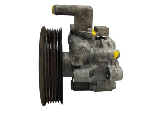 Steering pump HYUNDAI TUCSON (JM) [2004-2024]  17649833