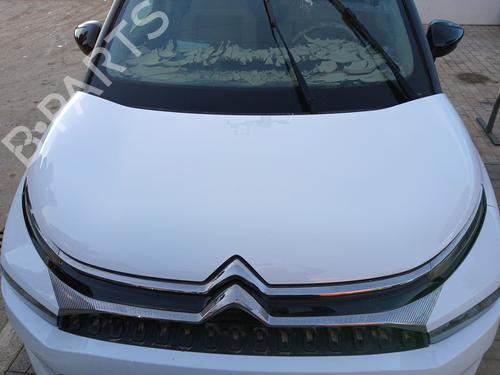 BP31637624C1 main image