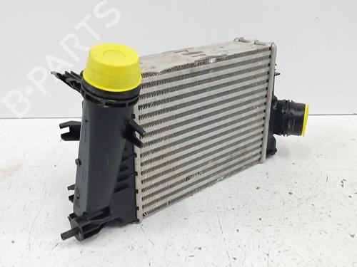 Intercooler NISSAN QASHQAI III (J12) 1.3 DIG-T | BP29827184M30