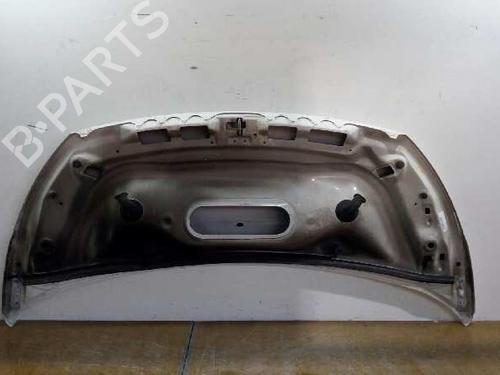 Hood FIAT SCUDO Bus (270_, 272_) 2.0 D Multijet | BP419996C1 
