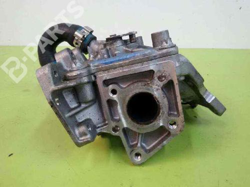 Egr MERCEDES-BENZ C-CLASS (W204)  | BP348755M69 
