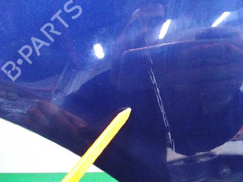 Left front fenders HYUNDAI SONATA V (NF) 2.0 CRDi | BP9271617C41 