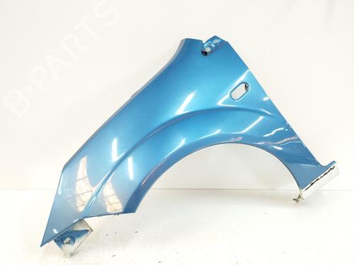 Left front fenders FORD FIESTA V (JH_, JD_) 1.6 TDCi | BP10414262C41 