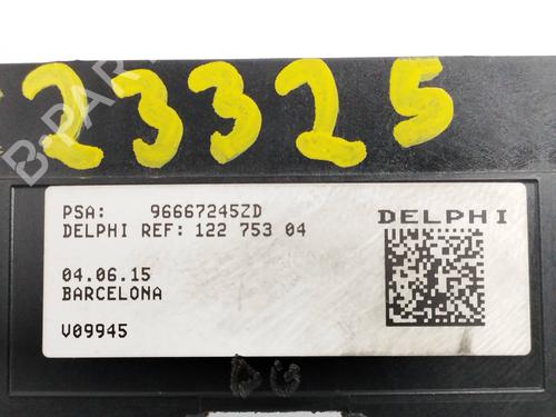 Steering wheel controls CITROËN C4 Picasso II 1.6 BlueHDi 120 | BP12428632E15 