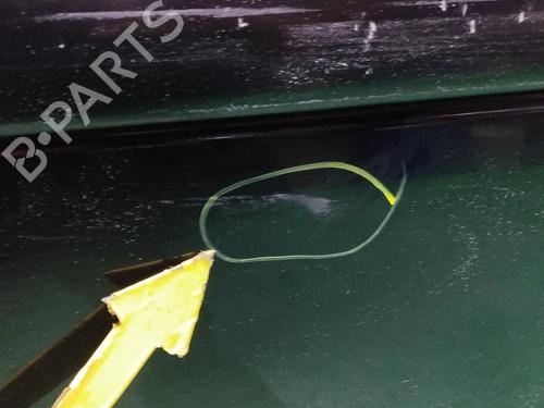 Left front door NISSAN X-TRAIL I (T30) 2.2 dCi | BP16716060C2 