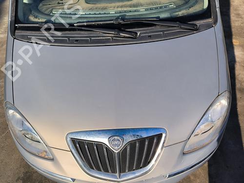 Motorhjelm LANCIA MUSA (350_) 1.3 D Multijet (350.AXG11, 350.AXG1A) (90 hp) 32859934