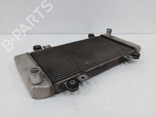 Other MERCEDES-BENZ E-CLASS (W210) E 200 CDI (210.007) | BP29027039O1 
