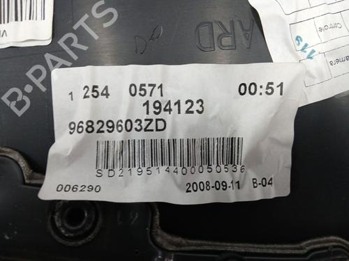 Rear right panel CITROËN C5 III (RD_) 2.7 HDi (RDUHZJ) | BP29712346C61 