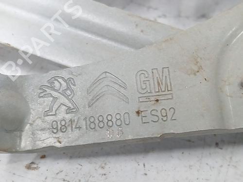 Hinge/Door check strap PEUGEOT 3008 II SUV (MC_, MR_, MJ_, M4_) Hybrid | BP29915705C146