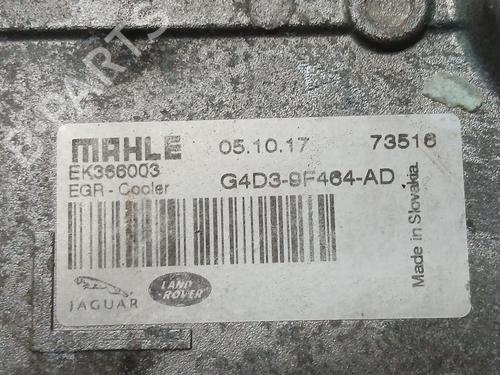 Egr JAGUAR F-PACE (X761)  | BP29402295M69 