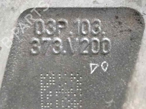 Cylinder head VW POLO V (6R1, 6C1) 1.2 TDI | BP24843718M5