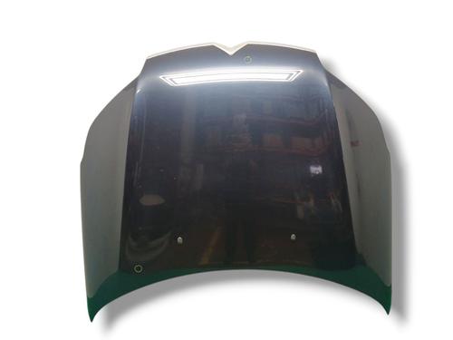 Used Hood CITROËN C5 III (RD_) 2.7 HDi (RDUHZJ) (204 hp) 30197050