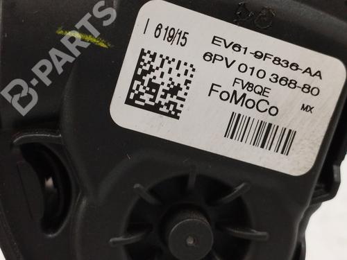 Pedal FORD FOCUS III  | BP10771311I4 
