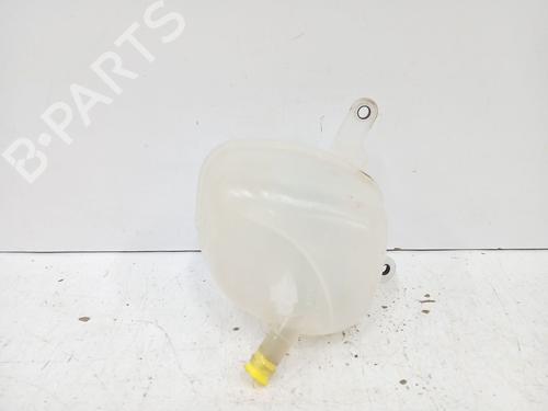 Expansion tank NISSAN QASHQAI III (J12) 1.3 DIG-T | BP29827191C120