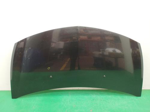 Used Hood RENAULT CLIO III (BR0/1, CR0/1) 1.2 16V (BR02, BR0J, BR11, CR02, CR0J, CR11) (75 hp) 17773459