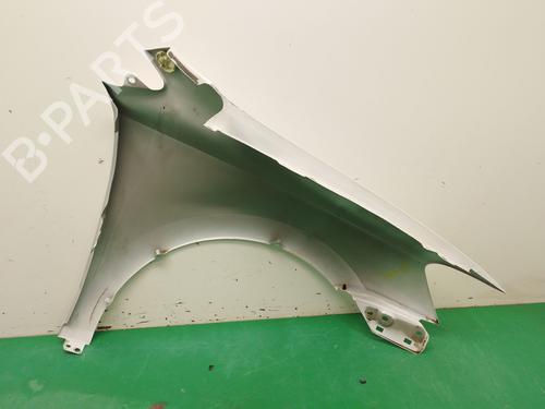 Left front fenders VW POLO V (6R1, 6C1)  | BP29566582C41 