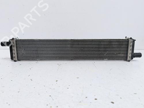 Used Water radiator Water radiator RENAULT CLIO V (B7_) 1.5 Blue dCi 100 (B7AD) (101 hp) 40493239 40493239