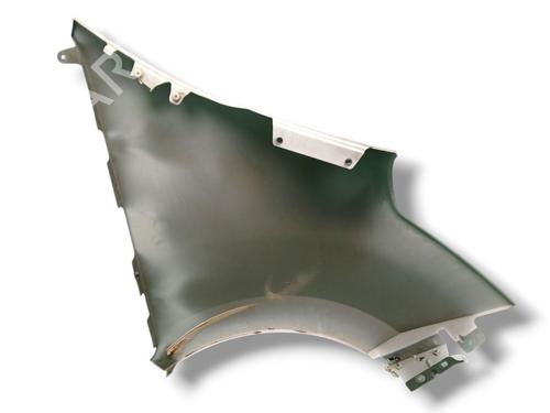 Forskærm venstre RENAULT MASTER III Bus (JV) 2.3 dCi 145 FWD (JV0F, JV0S, JV0T) | BP31194828C41