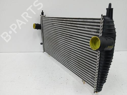 Intercooler CITROËN C5 III (RD_) 2.7 HDi (RDUHZJ) | BP29712351M30 