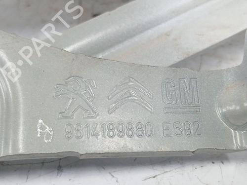 Hinge/Door check strap PEUGEOT 3008 II SUV (MC_, MR_, MJ_, M4_) Hybrid | BP29915706C146
