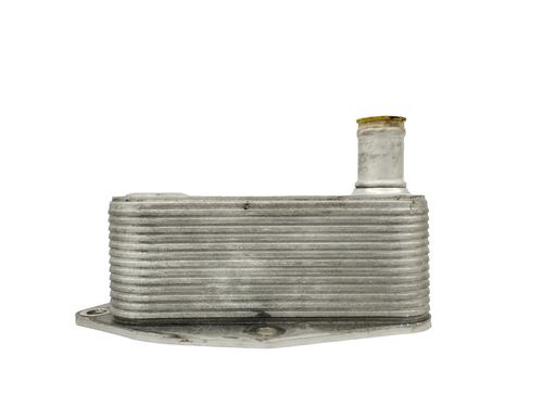 Used Oil radiator LAND ROVER FREELANDER I (L314) 2.0 Td4 4x4 (112 hp) 14155303