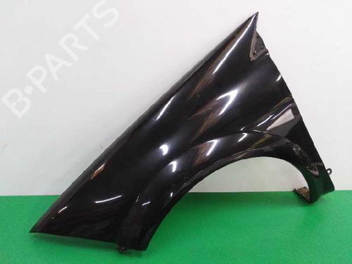 Left front fenders RENAULT MEGANE II (BM0/1_, CM0/1_) 1.5 dCi (BM02, BM13, BM2A, CM02, CM13) | BP8586798C41