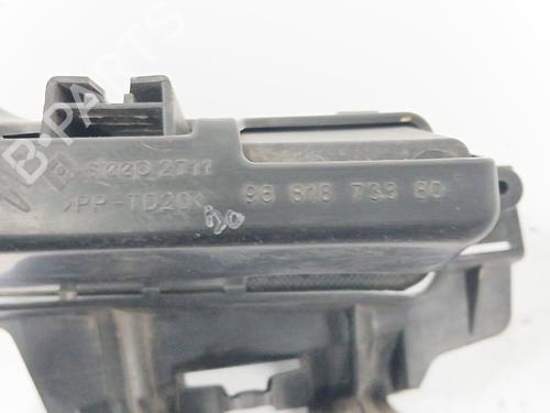 Elektronisk modul CITROËN C5 III (RD_) 2.7 HDi (RDUHZJ) | BP29725145M83